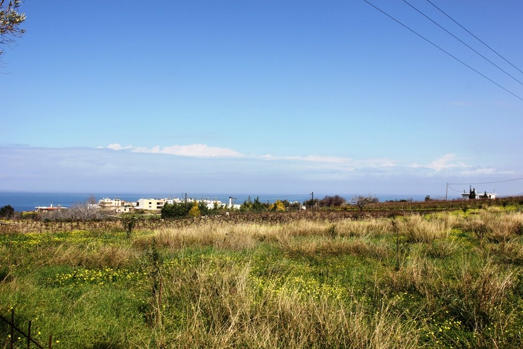 Terrain à Réthymnon, Grèce, 5 400 m² - image 1