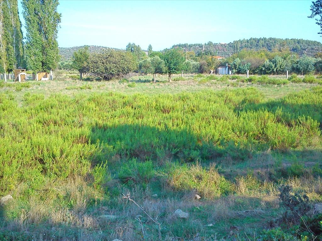 Terrain en Sithonie, Grèce, 3 200 m² - image 1