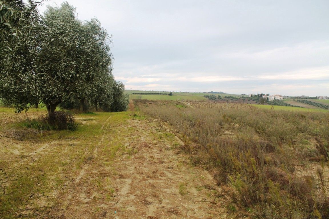 Terrain à Thessalonique, Grèce, 7 350 m² - image 1