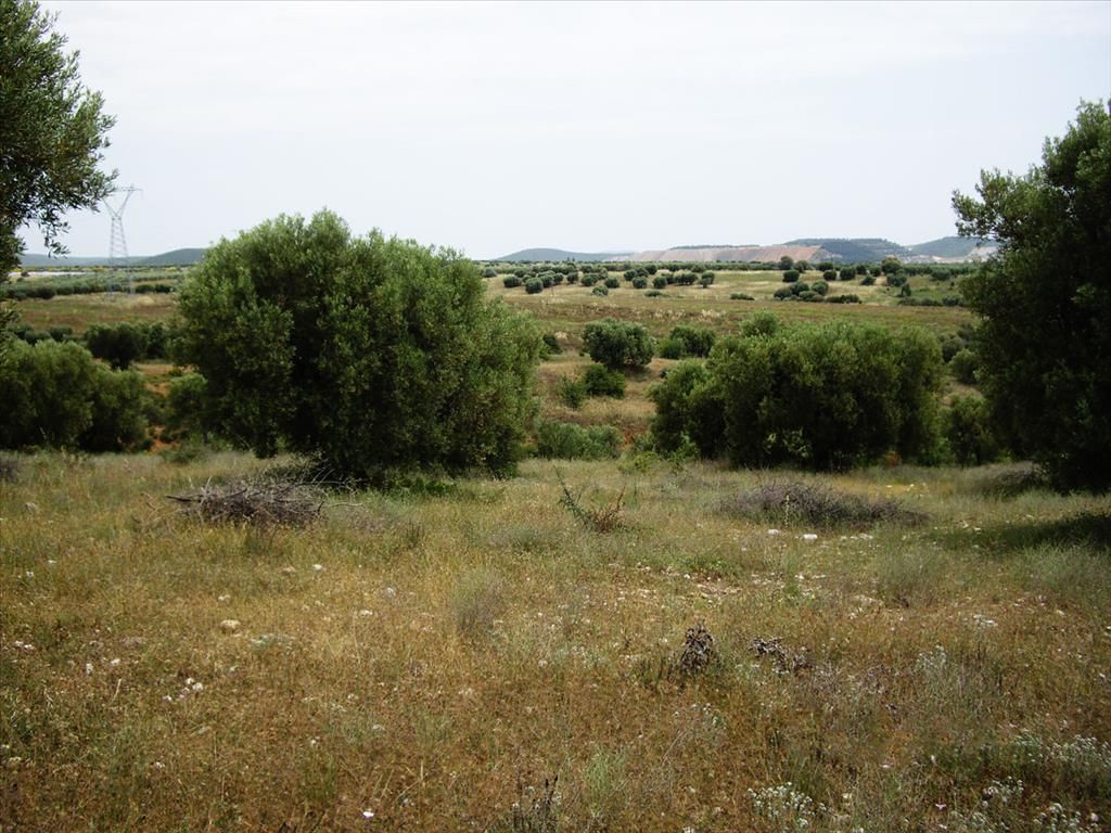 Land in Chalkidiki, Greece, 59 063 m² - picture 1