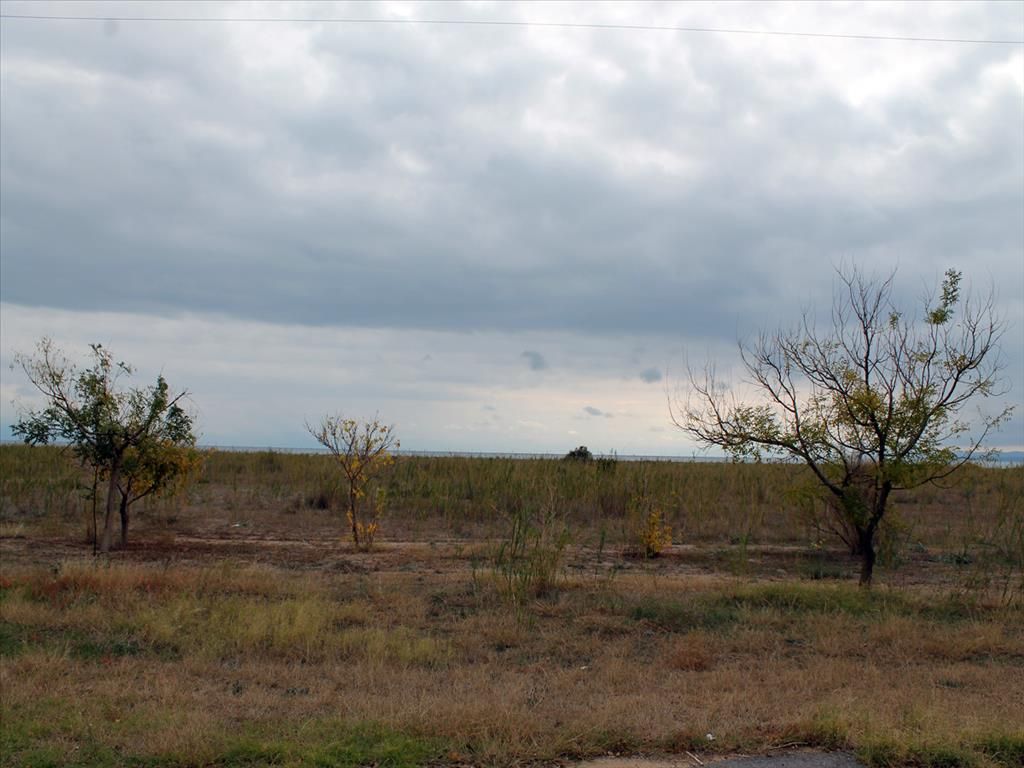 Grundstück in Poligiros, Griechenland, 4 000 m² - Foto 1