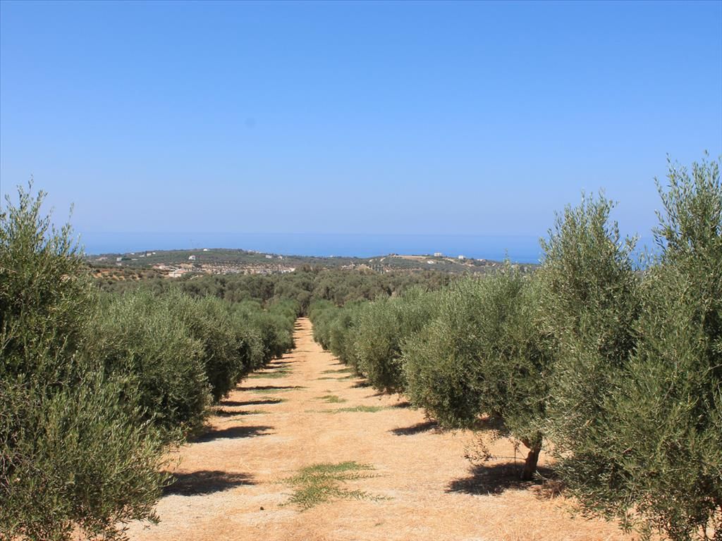 Terrain à Réthymnon, Grèce, 10 500 m² - image 1