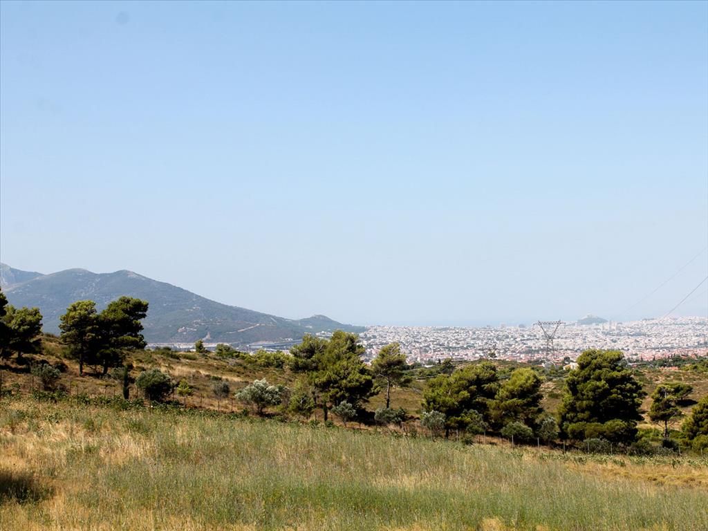Land in Nea Makri, Greece, 22 000 m² - picture 1
