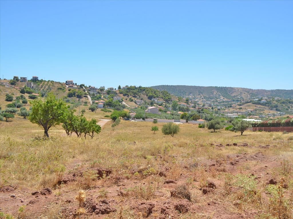 Terreno en Lagonisi, Grecia, 13 500 m² - imagen 1