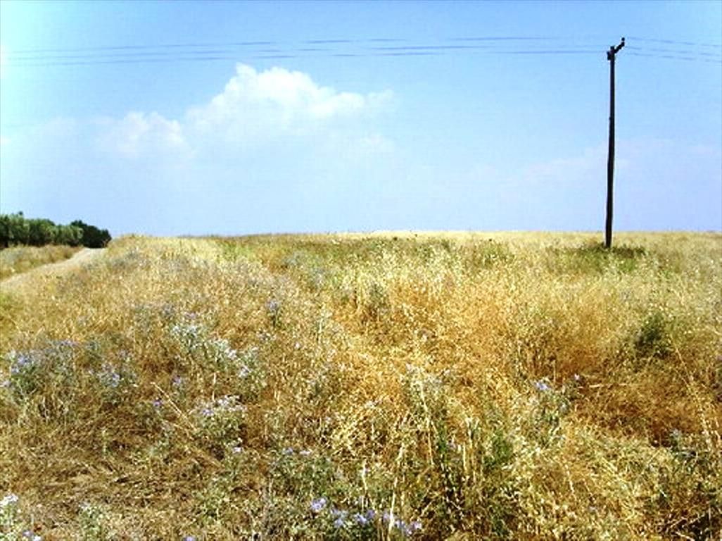 Terreno en Salónica, Grecia, 9 600 m² - imagen 1