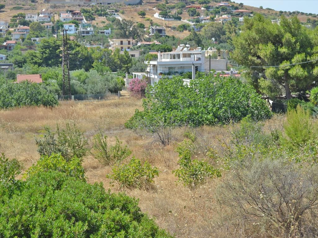 Terrain à Lagonisi, Grèce, 7 000 m² - image 1