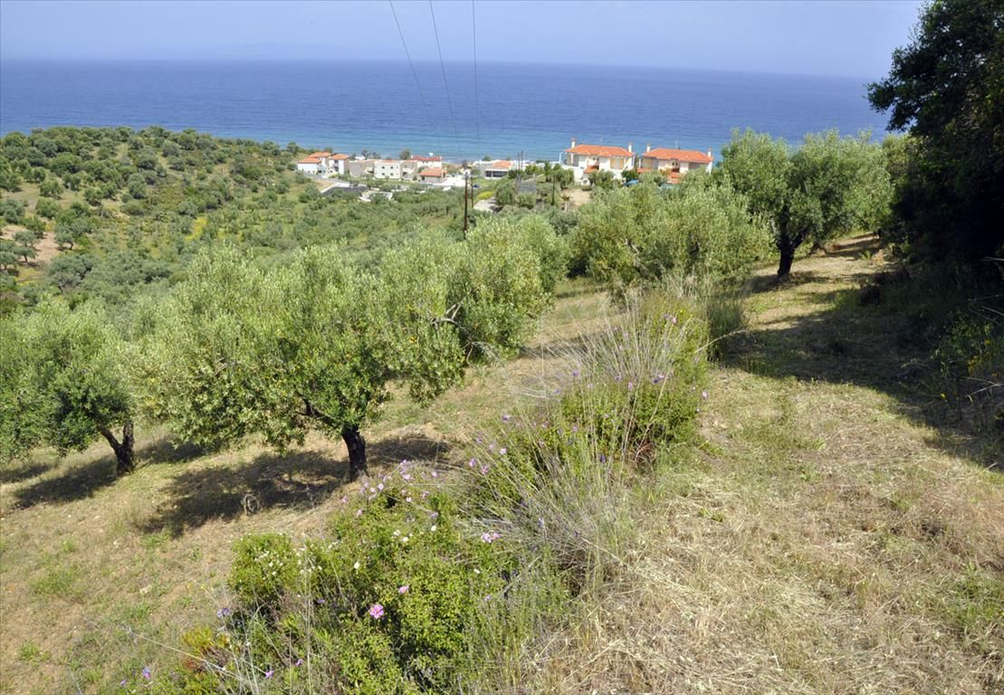 Land in Chalkidiki, Greece, 3 750 m² - picture 1