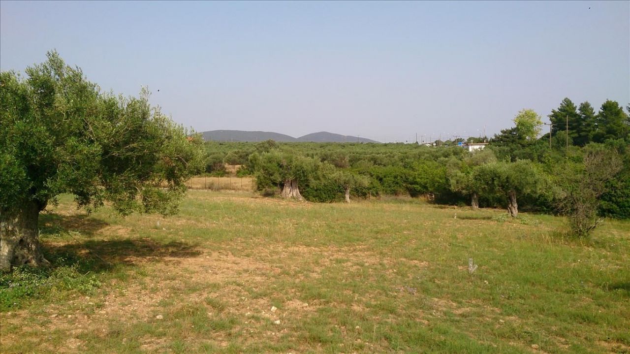 Land in Sithonia, Greece, 4 589 m² - picture 1