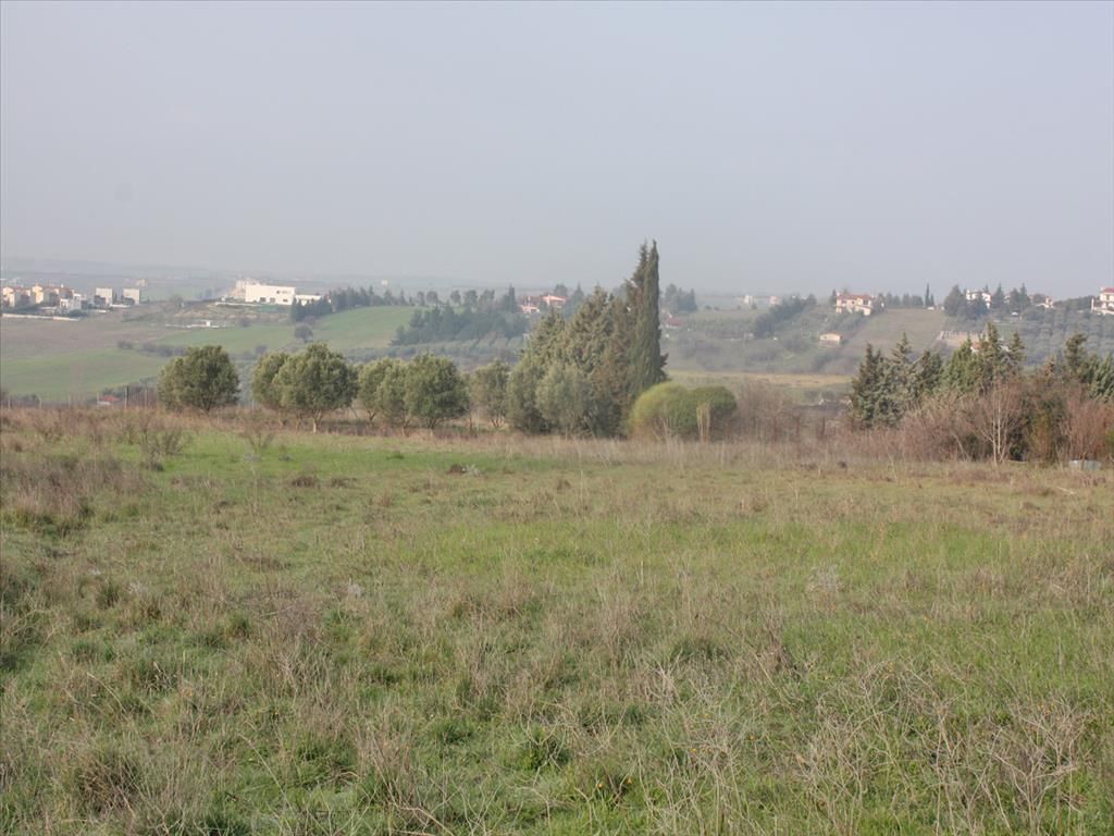 Land in Pella, Greece, 6 000 m² - picture 1