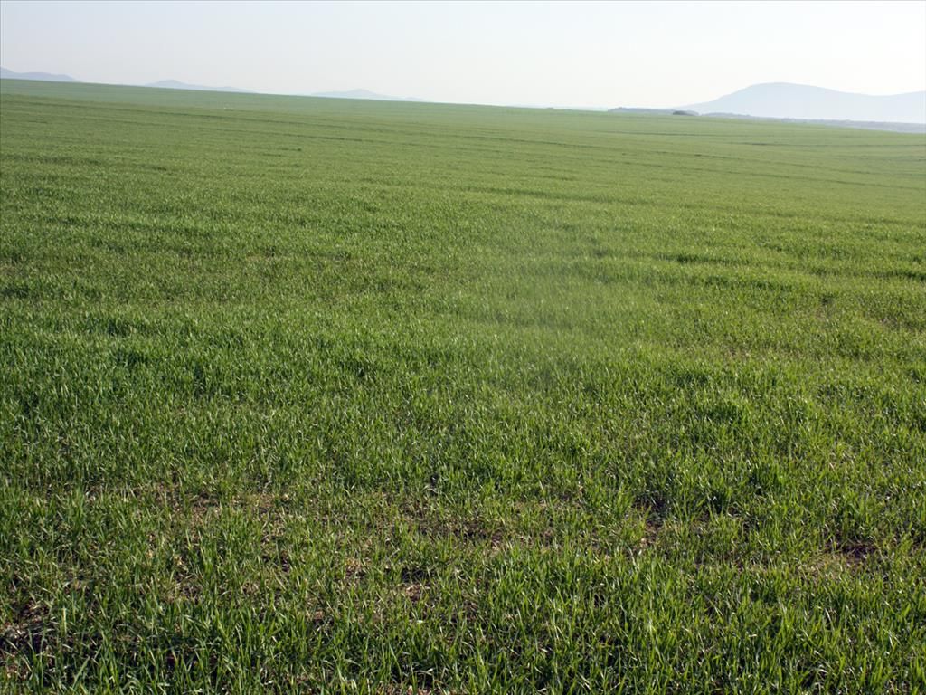 Terreno en Salónica, Grecia, 200 000 m² - imagen 1