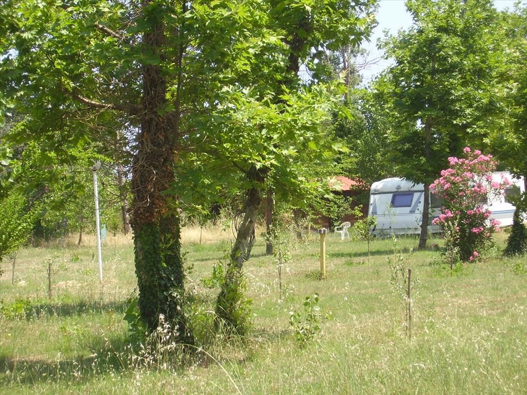 Land in Chalkidiki, Greece, 18 000 m² - picture 1