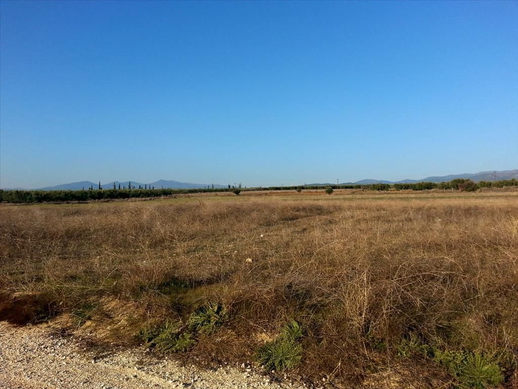 Land in Poligiros, Greece, 16 600 m² - picture 1