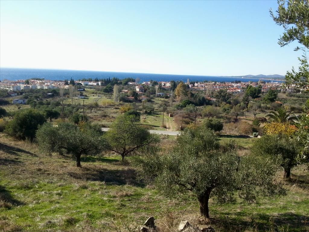 Land in Sithonia, Greece, 5 000 m² - picture 1