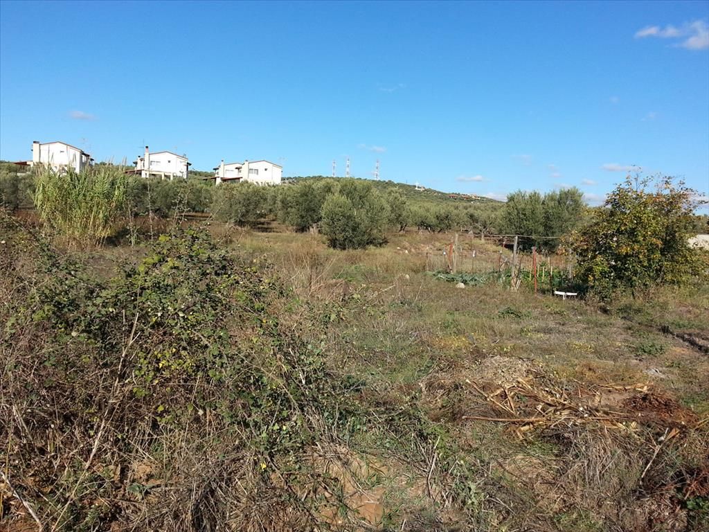 Land in Poligiros, Greece, 840 m² - picture 1