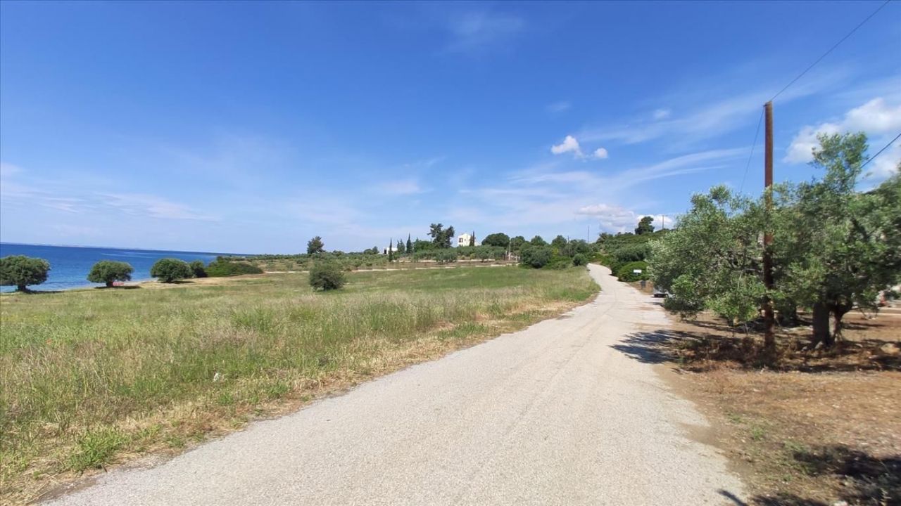 Land in Sithonia, Greece, 13 750 m² - picture 15