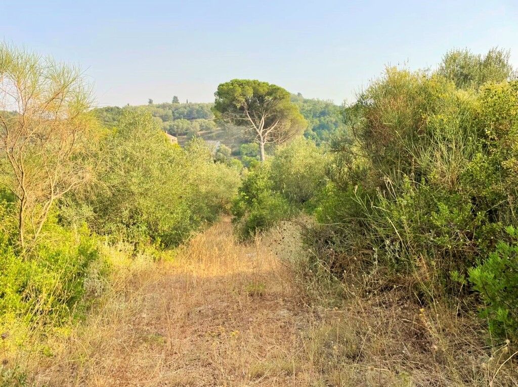 Grundstück in Korfu, Griechenland, 21 000 m² - Foto 16