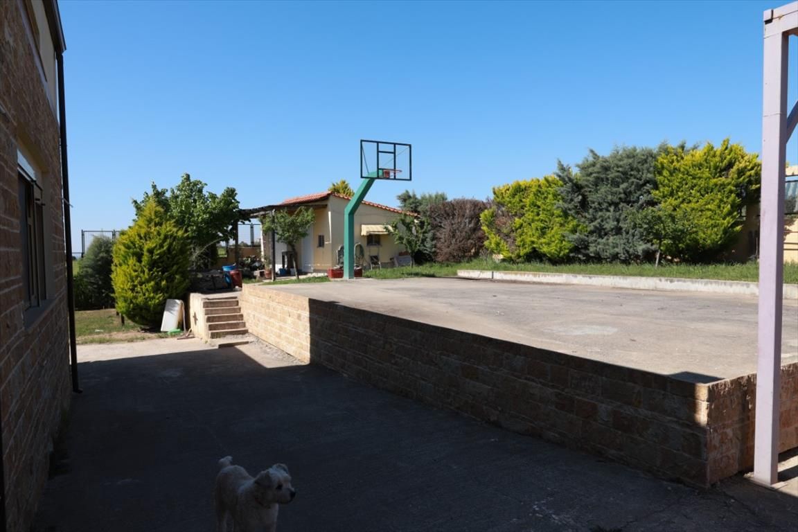 Villa en Salónica, Grecia, 500 m² - imagen 16