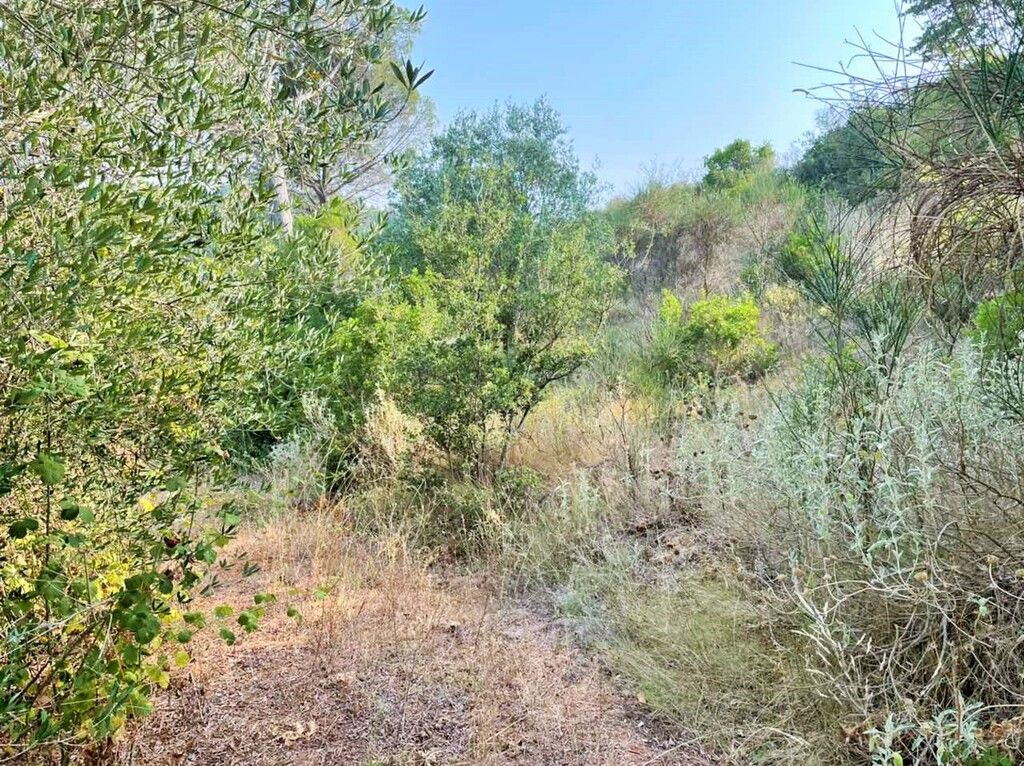 Grundstück in Korfu, Griechenland, 21 000 m² - Foto 17