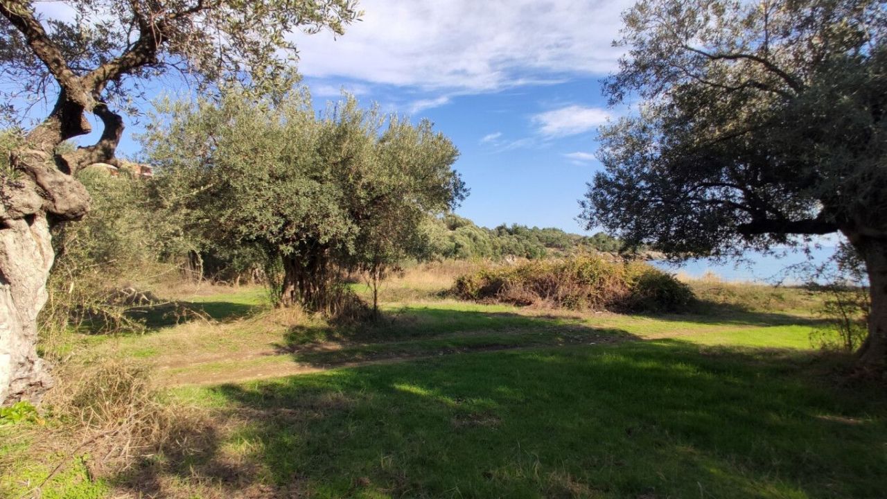 Grundstück in Sithonia, Griechenland, 3 700 m² - Foto 17