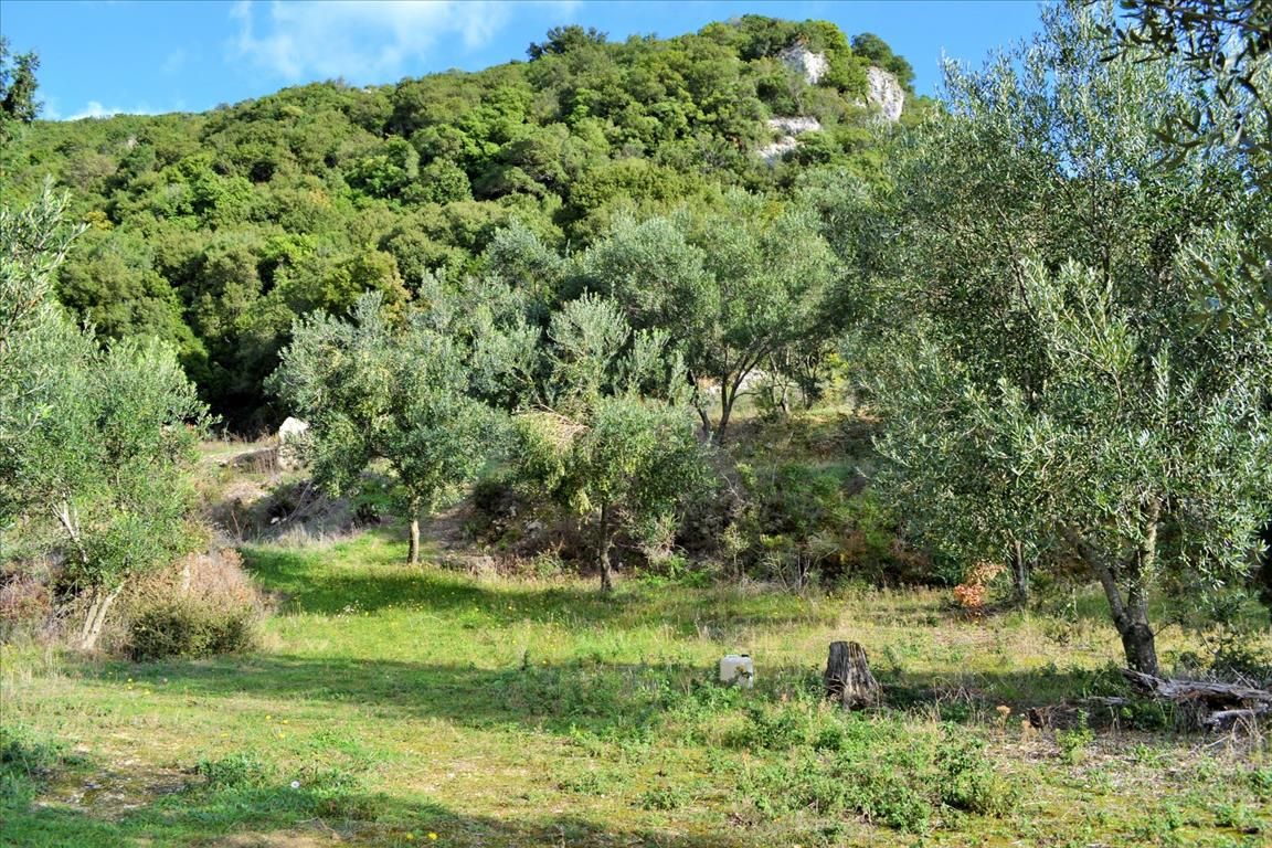 Terrain à Corfou, Grèce, 15 000 m² - image 17