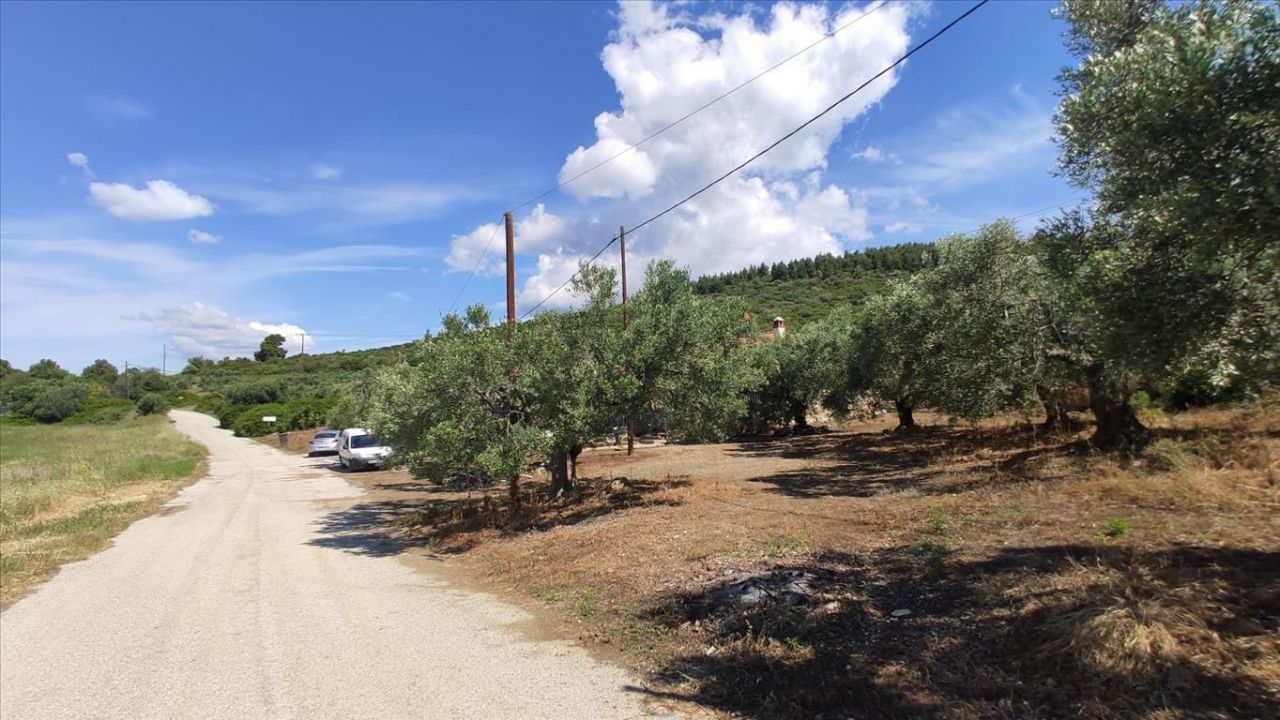 Land in Sithonia, Greece, 13 750 m² - picture 17