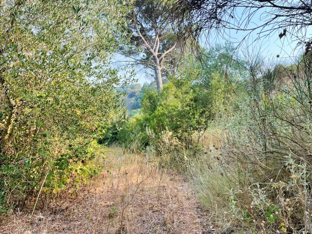 Grundstück in Korfu, Griechenland, 21 000 m² - Foto 18