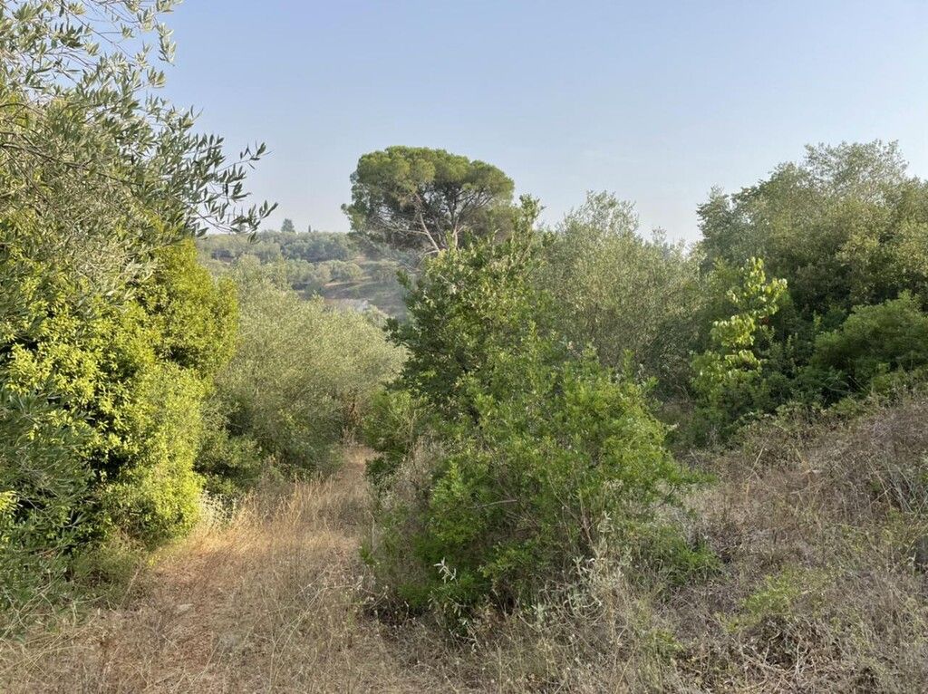 Grundstück in Korfu, Griechenland, 21 000 m² - Foto 19