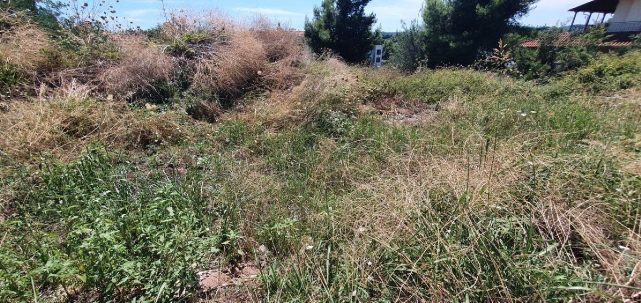 Land in Kassandra, Greece, 1 000 m² - picture 1