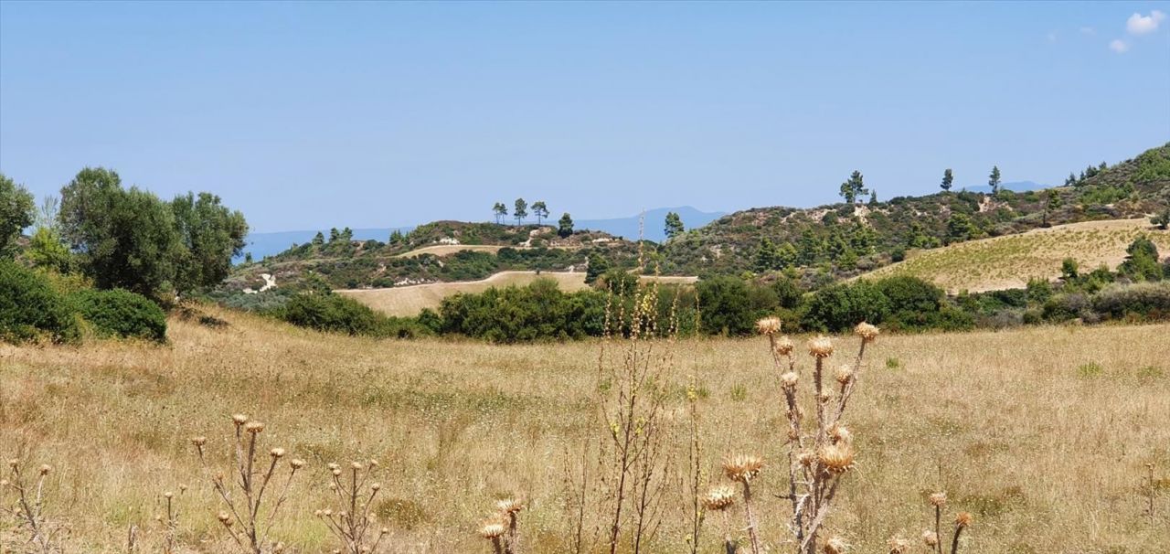 Land in Kassandra, Greece, 30 000 m² - picture 1