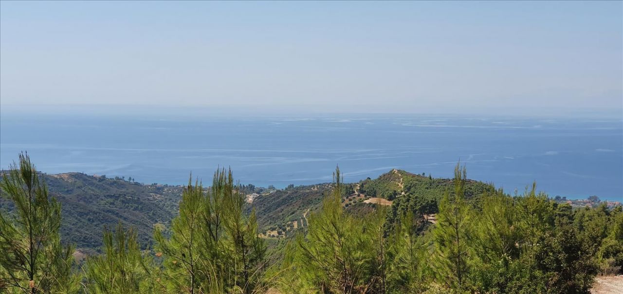 Land in Kassandra, Greece, 15 000 m² - picture 1