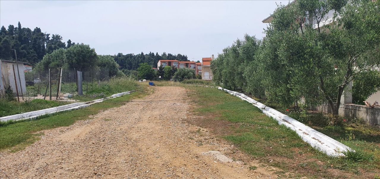 Land in Kassandra, Greece, 2 000 m² - picture 1