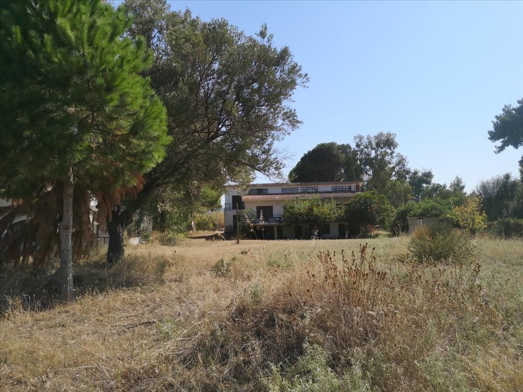 Maisonette in Kassandra, Griechenland, 160 m² - Foto 1