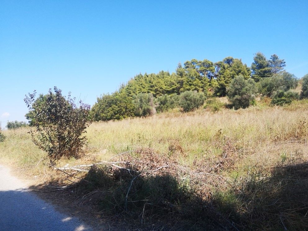 Land in Kassandra, Greece, 3 700 m² - picture 1