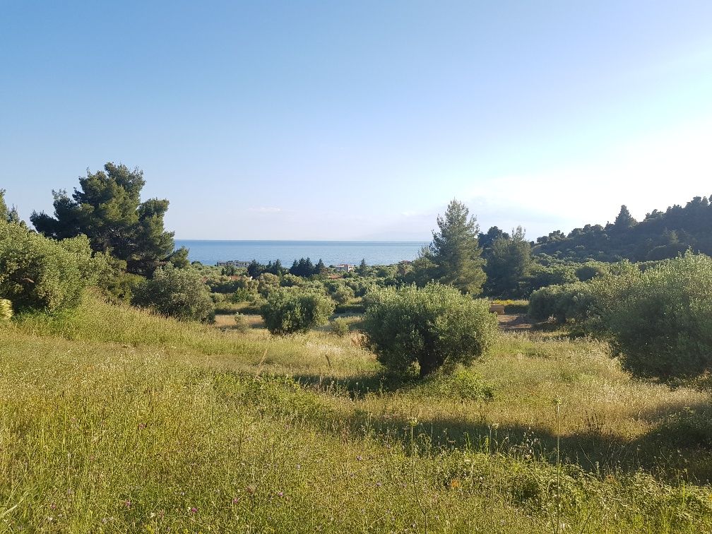 Grundstück in Chalkidiki, Griechenland, 20 000 m² - Foto 1