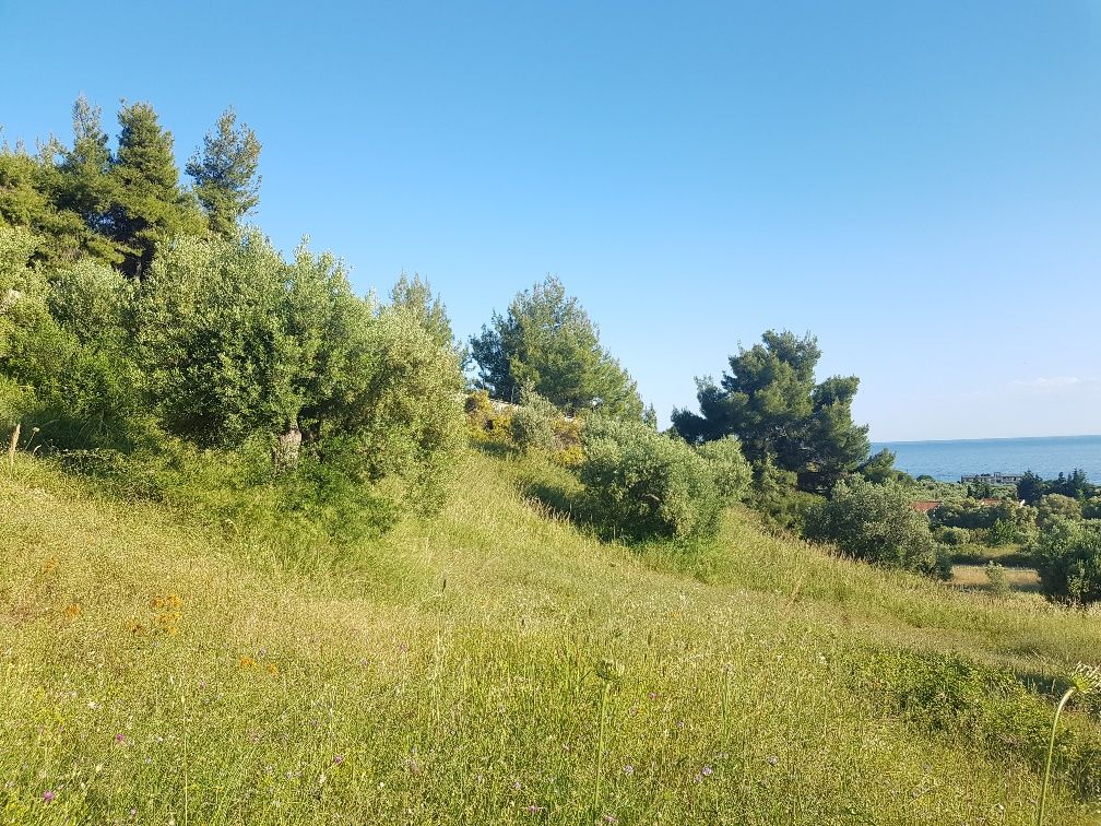 Grundstück in Chalkidiki, Griechenland, 4 500 m² - Foto 1