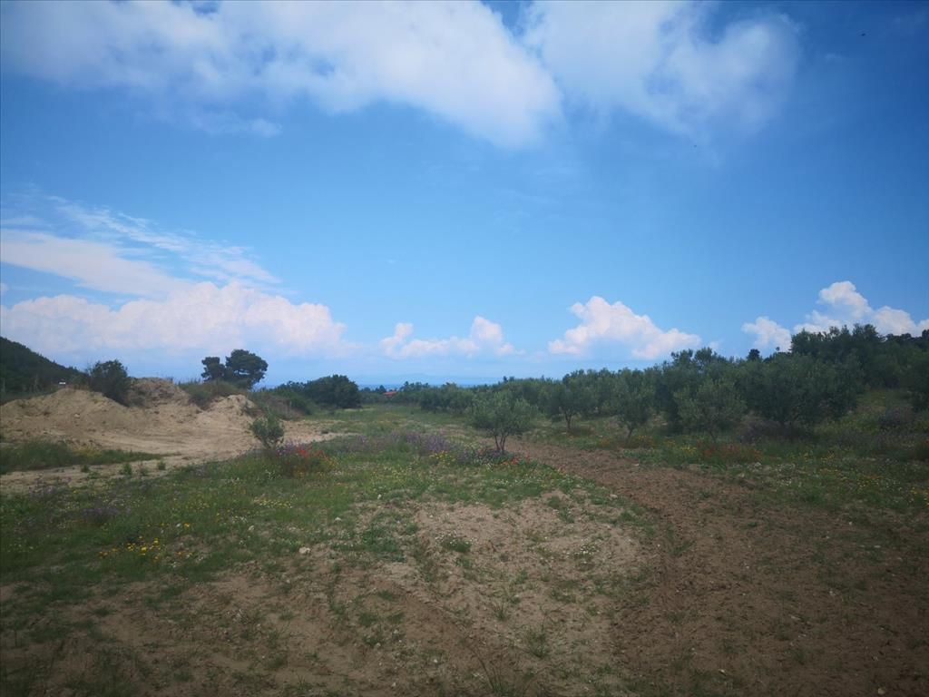 Terrain à Kassandra, Grèce, 18 500 m² - image 1