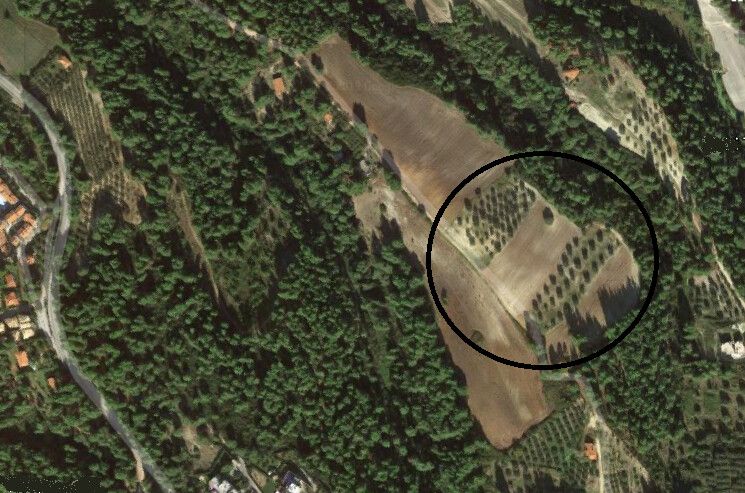 Terrain en Chalcidique, Grèce, 34 000 m² - image 1