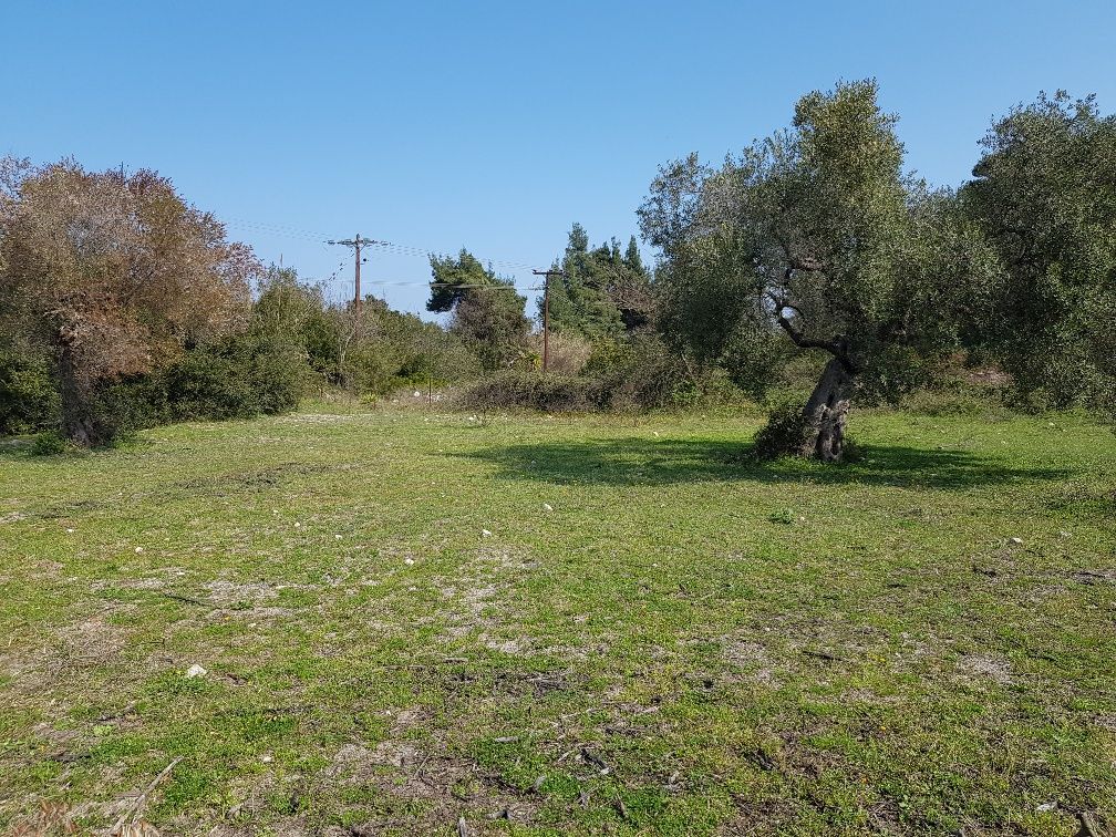 Terreno en Calcídica, Grecia, 4 300 m² - imagen 1