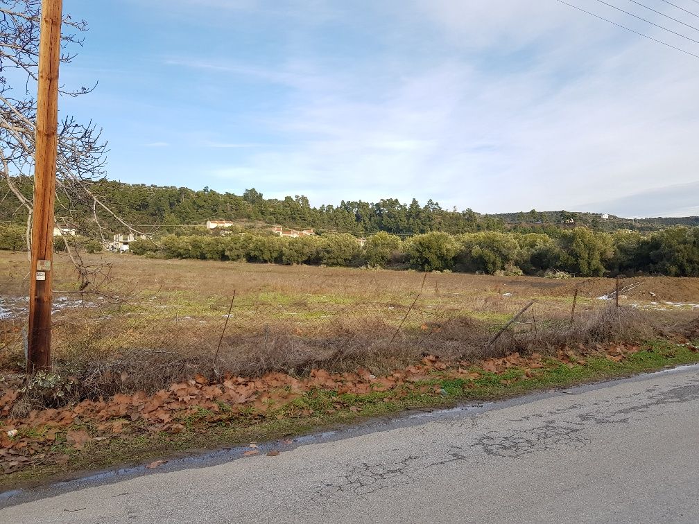 Terrain à Kassandra, Grèce, 4 500 m² - image 1