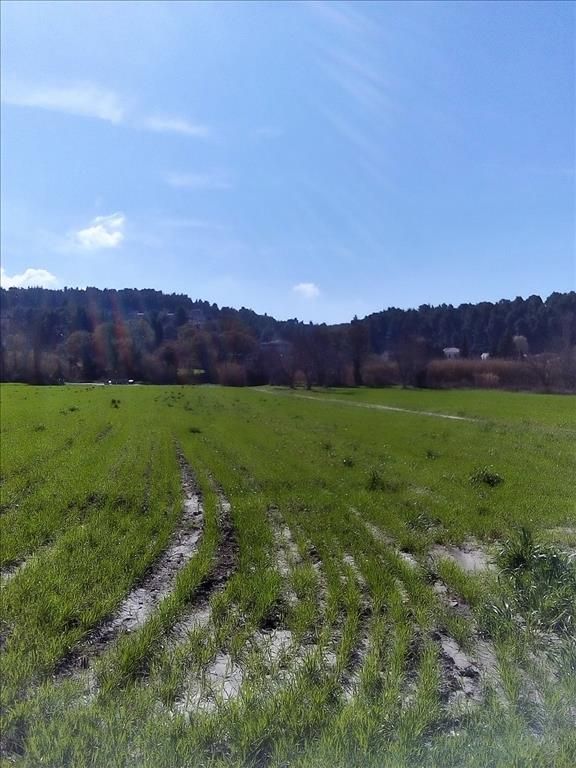 Terreno en Kassandra, Grecia, 10 000 m² - imagen 1