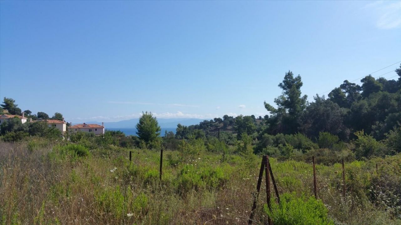 Land in Chalkidiki, Greece, 9 000 m² - picture 1