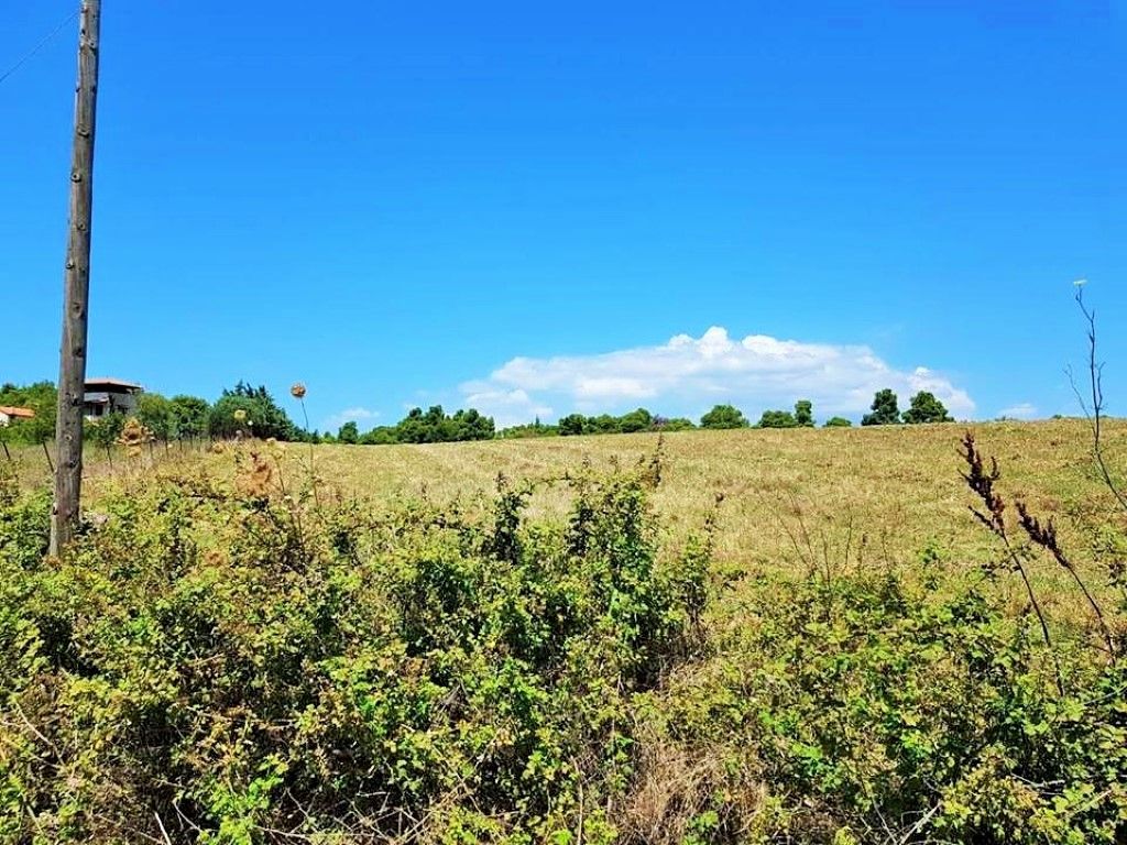 Land in Chalkidiki, Greece, 8 000 m² - picture 1