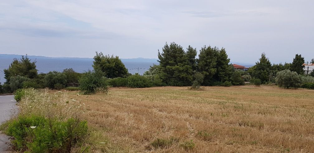 Terreno en Calcídica, Grecia, 9 500 m² - imagen 1