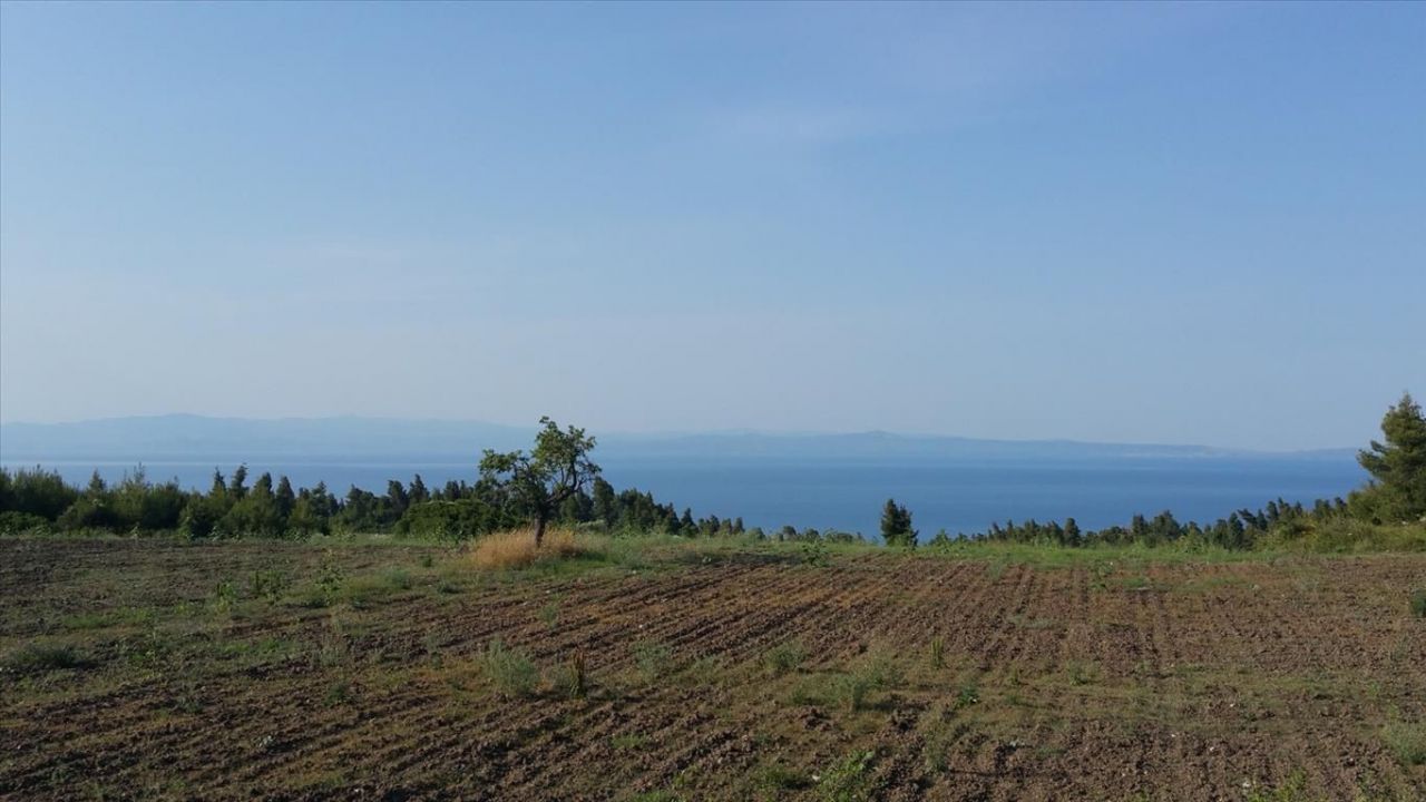 Grundstück in Kassandra, Griechenland, 14 625 m² - Foto 1
