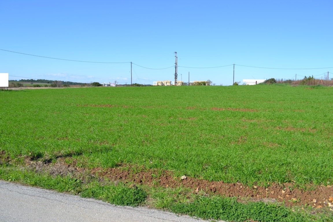 Land in Chalkidiki, Greece, 6 700 m² - picture 1