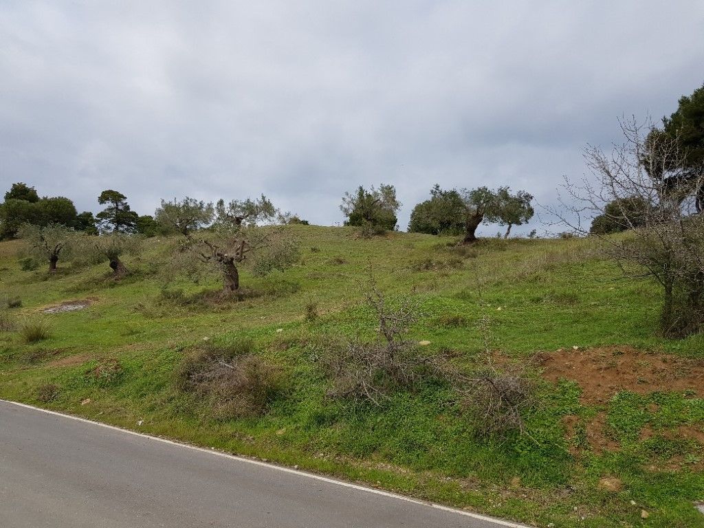 Land in Sithonia, Greece, 6 000 m² - picture 1