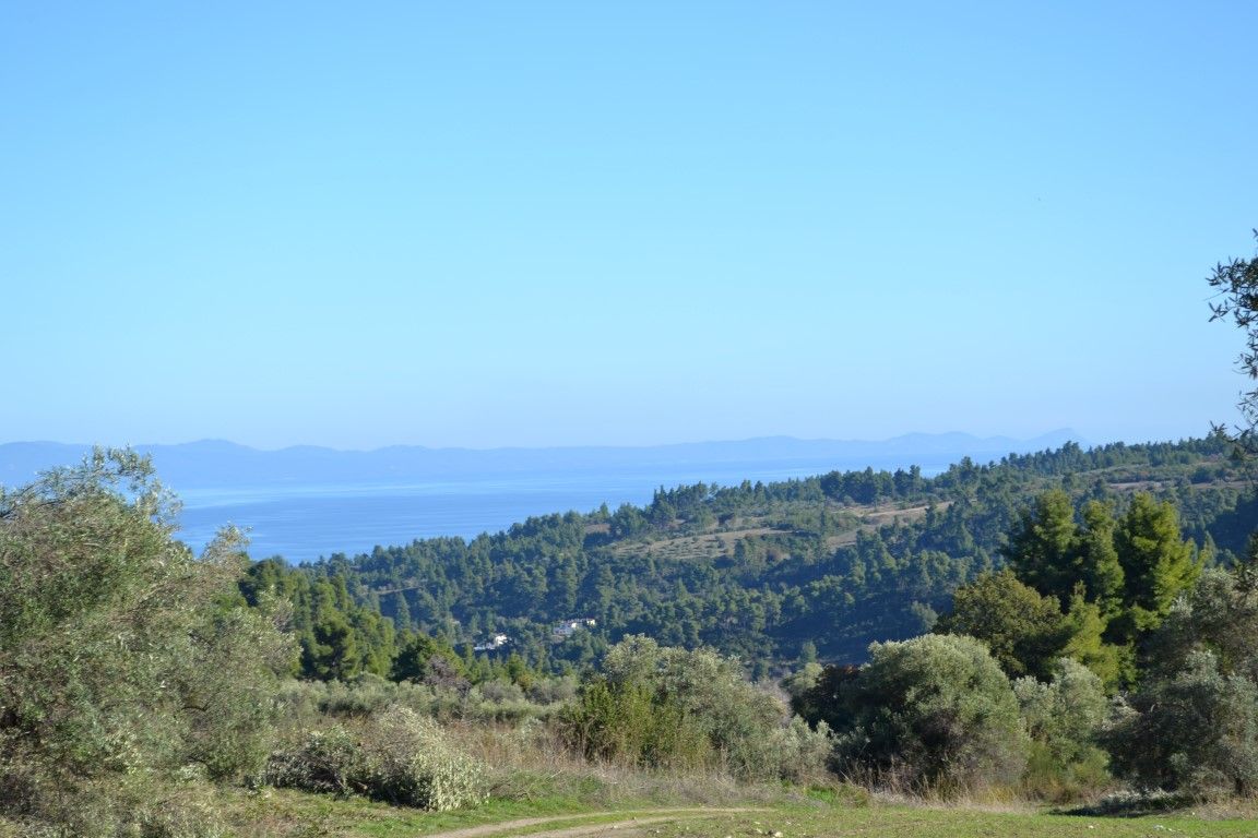 Land in Chalkidiki, Greece, 11 738 m² - picture 1