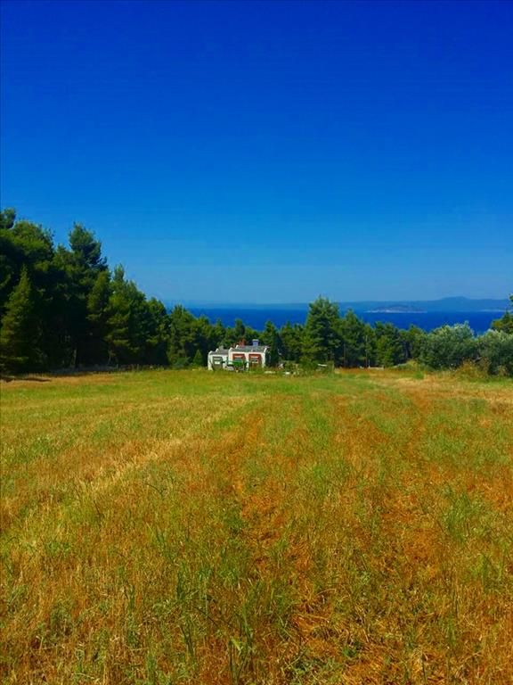 Grundstück in Kassandra, Griechenland, 8 000 m² - Foto 1