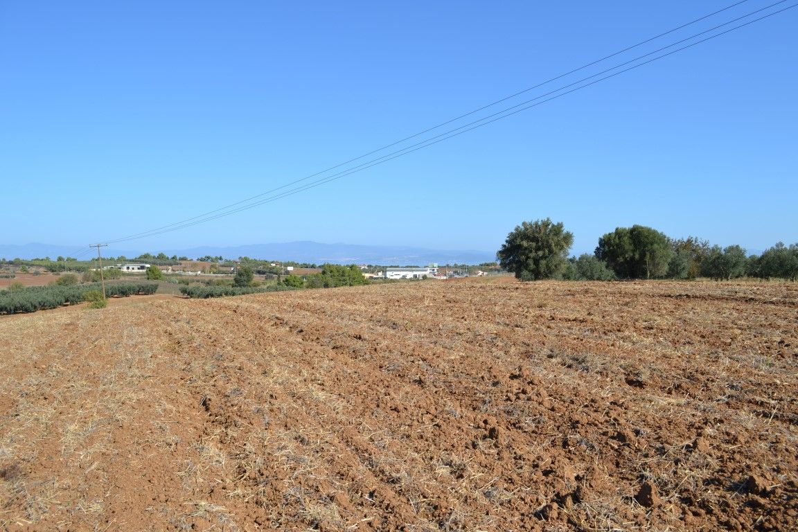 Terrain en Chalcidique, Grèce, 20 000 m² - image 1