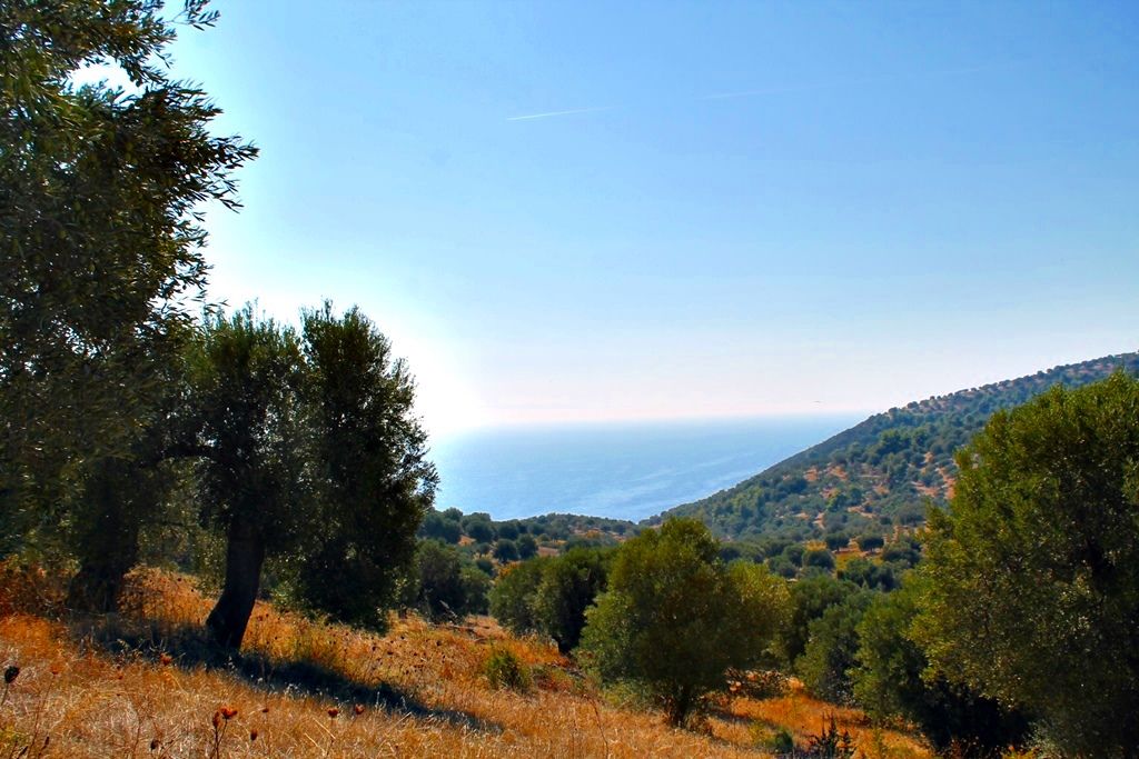 Terreno en Kassandra, Grecia, 20 000 m² - imagen 1